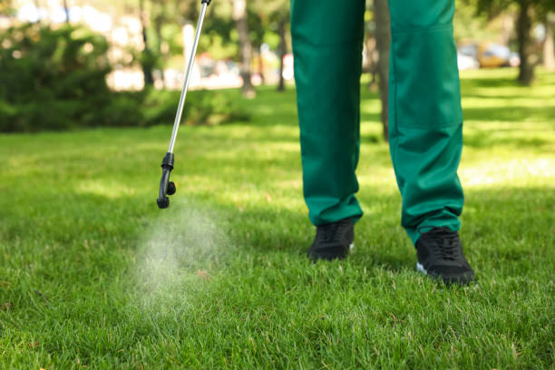 Wasp Removal Services in Verona, KY
