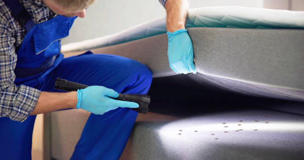 Best Pest Control Near Me  in Verona, KY