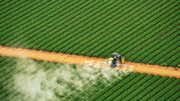 Best Pest Prevention Services  in Verona, KY