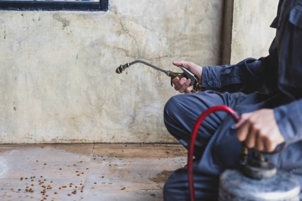 Best Mosquito Control Services  in Verona, KY